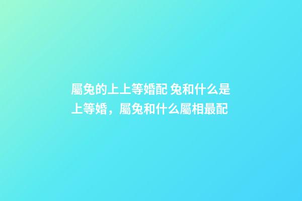屬兔的上上等婚配 兔和什么是上等婚，屬兔和什么屬相最配-第1張-觀點-玄機派